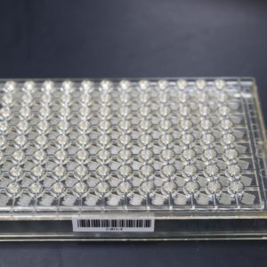5-plate MicroFluere pack plus 100 absorbent pads