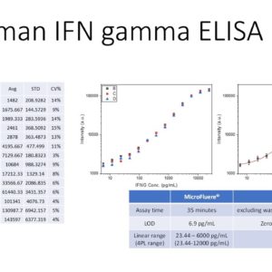 Human IFN-gamma ELISA kit