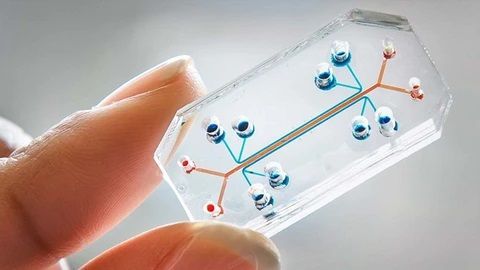 Unique strengths of microfluidics: Optofluidic Bioassay LLC